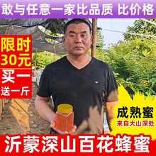 蜂蜜 jh花荆条花枣os自产纯正天然 1000g/2斤装