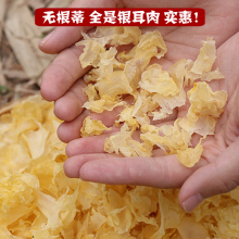 【纯叶jl250g古l0干货新鲜 白木耳雪耳片 易糯干净