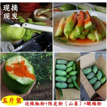 酸 jl鲜包邮海南yp椒(小)象牙芒生吃现摘现发5斤