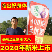 央视2jp洪刚400ks肥新米东北黑龙江五常稻花香大力10斤