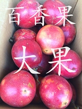 广西紫ka新鲜5斤包le果香甜10点至22点广州发货