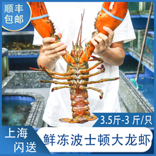 奥龙虾ku活特大波士ao虾澳洲龙虾鲜活大帝王蟹新鲜青龙帝皇虾