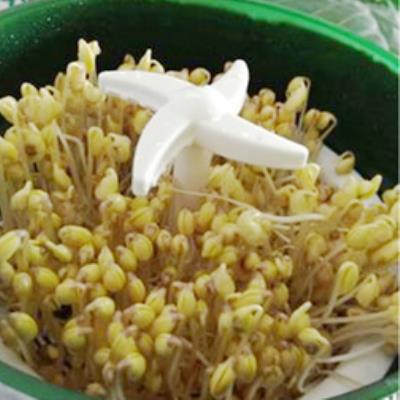 生豆芽la机大容量绿ci发芽率双层机器大容量绿豆种