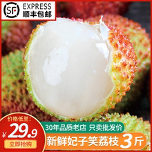 202lc年新鲜现摘hf季妃子笑3大果水果顺丰包邮