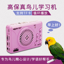 鹦鹉学li话八哥学说mi练器语音鸟类牡丹录音机插卡充电