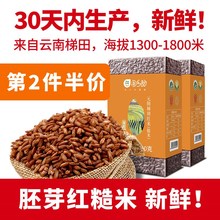 云南红li元阳哈尼胚ze包装新米红大米香米