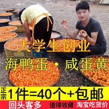 正宗水li农夫40枚ge黄酥自制月饼粽子烘焙真空新鲜包邮