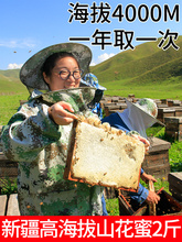 2斤新lj伊犁高海拔vn蜜纯正天然正宗农家山花PK麦卢卡