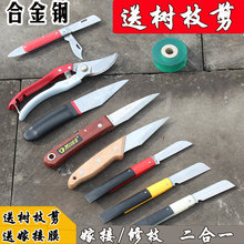 可折叠lq接刀送膜德ok特种钢特级专业园艺架接果树苗木芽接刀