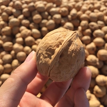 【一号lq川】新货无ok疆阿克苏温宿县 特级185纸皮薄皮大核桃