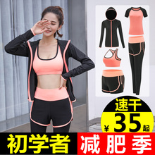 瑜伽服lz初学者秋冬yf松大码长袖健身房网红速干跑步运动套装