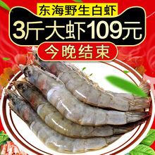 南美白mc虾非青岛大et鲜活 鲜虾海鲜超大水产鲜活