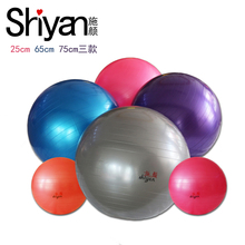 施颜健me球脊椎球普uo郑多燕辅助球25cm 65cm 75cm直径
