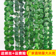 仿真葡me叶假花藤条uo物树叶绿叶水管道吊顶装饰塑料绿萝叶子