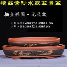 简约紫ml椭圆形促销st菖蒲水培植物客厅桌面文竹多肉组合包邮