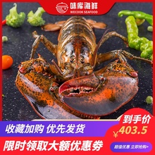 龙虾波ml顿鲜活特大ho龙波斯顿海鲜水产活虾450-550g*2