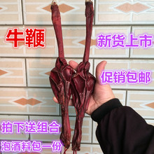 牛鞭 mn大黄牛鞭干du 中药材滋补养生煲汤泡酒料 另售驴鞭包邮