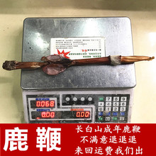 鹿鞭 mn生滋补泡酒du鞭干另售驴鞭 牛鞭 蛇鞭等一条包邮