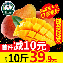 海南贵ms新鲜水果包ra迷你整箱应季热带鸡蛋芒青忙果10斤