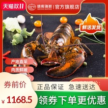 龙虾波mx顿鲜活特大hz龙波斯顿海鲜水产活虾1400-1600g