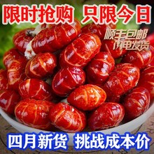 香辣(小)mx虾大号特级hz大尾熟冻虾球冷冻无冰衣整箱麻辣味5斤