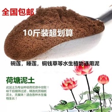 天然荷mx泥碗莲专用ny铜钱草水生植物淤泥荷塘泥包邮