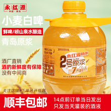青岛永ni源2号精酿71.5L桶装浑浊(小)麦白啤啤酒 果酸风味
