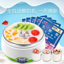 懒的单nk米酒家用(小)dc插电不锈钢内胆学生用时尚迷你