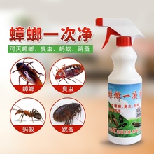 除杀去od螂药一窝端ke神器厨房克星家用全窝蟑螂一次净