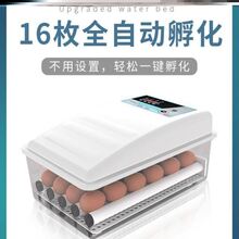 鸡蛋孵oi器孚化机实kw恒温箱卵化箱充电式养殖蛋鸡孵化箱保温