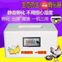 鸡蛋浮oi箱家用(小)型kw动箱(小)鸡孵化设备卵化器电热工具