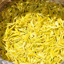 202ol新茶黄金芽yg金茶叶安吉白茶明前特级一级试喝装