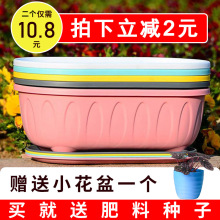 花盆塑pb多肉盆栽北bw特价清仓长方形特大蔬菜绿萝种植加厚盆