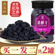 买1发ph天美珍桑椹bc桑椹子黑桑葚干精选无沙特泡茶水酒新疆级