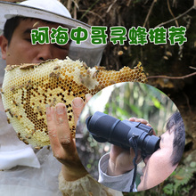 阿海中pj户外运动寻sp蜂找马蜂双通充氮防水望远镜高清专业