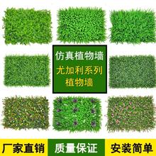 塑料草pk植物墙背景jj墙室内阳台装饰假草皮的造草坪
