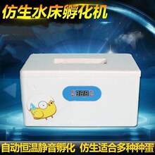 (小)型暖pl机孵蛋器暖tc化机付化器孚伏(小)鸡机器孵化箱抱