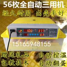 电孵化pl家用孵蛋机tc(小)型孵化箱(小)鸡抱蛋器暖化机器浮