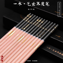 吾辰炭pp软中硬素描nj笔套装美术生专用软炭中炭硬炭初学者入门工具绘画绘图画画专