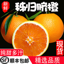 顺丰湖pp秭归手剥甜nj果现摘新鲜应季水果整箱5-10斤包邮
