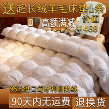 进口羽pp被95白鹅nj厚冬被子 双的羽绒被芯全棉单的学生宿舍