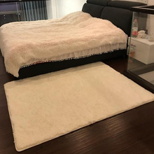 直播白ppins风客nj毛地毯卧室少女网红同式满铺床边短绒地垫