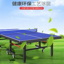 面板乒pr球台面台球ch球面板(小)乒乒台面室内家用标准