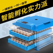 实用孵pr机鸭鹅鸽自ch鸡家用型2019智能恒温新品孚(小)鸡