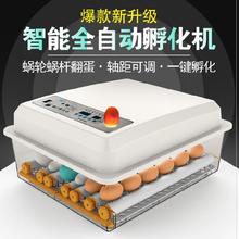 。鸡鸭pr鸽子蛋孵蛋ch温自动型卵化器带照蛋灯(小)鸡中型浮化机