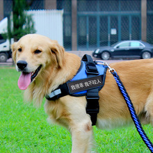 狗狗胸pu带大型犬金ng斯加牵引绳中型犬马犬子遛狗绳项圈