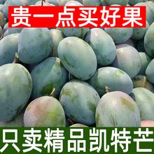 攀大扶pv攀枝花一级by新鲜当季热带大青芒整箱10斤包邮甜