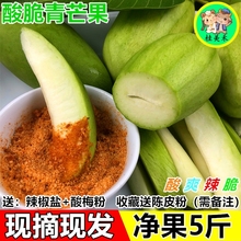 生吃青pv辣椒5斤包by生酸生吃酸脆辣椒盐水果