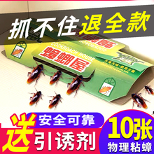 蟑螂屋pw灭蟑螂药 l8力灭 粉粘板胶饵杀虫剂清除蟑螂