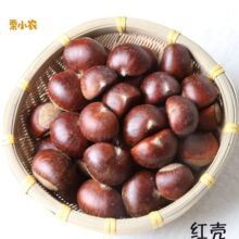 生 罗qc新鲜板栗野tm仁 野生花壳嫩仁油生鲜甘栗即食2020
